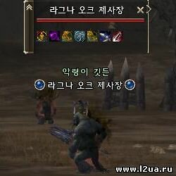 Ragna Orc Seer